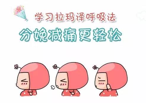 賽福特  自由體位  拉瑪澤呼吸